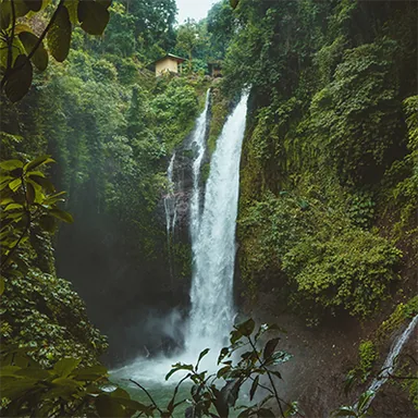 Bali